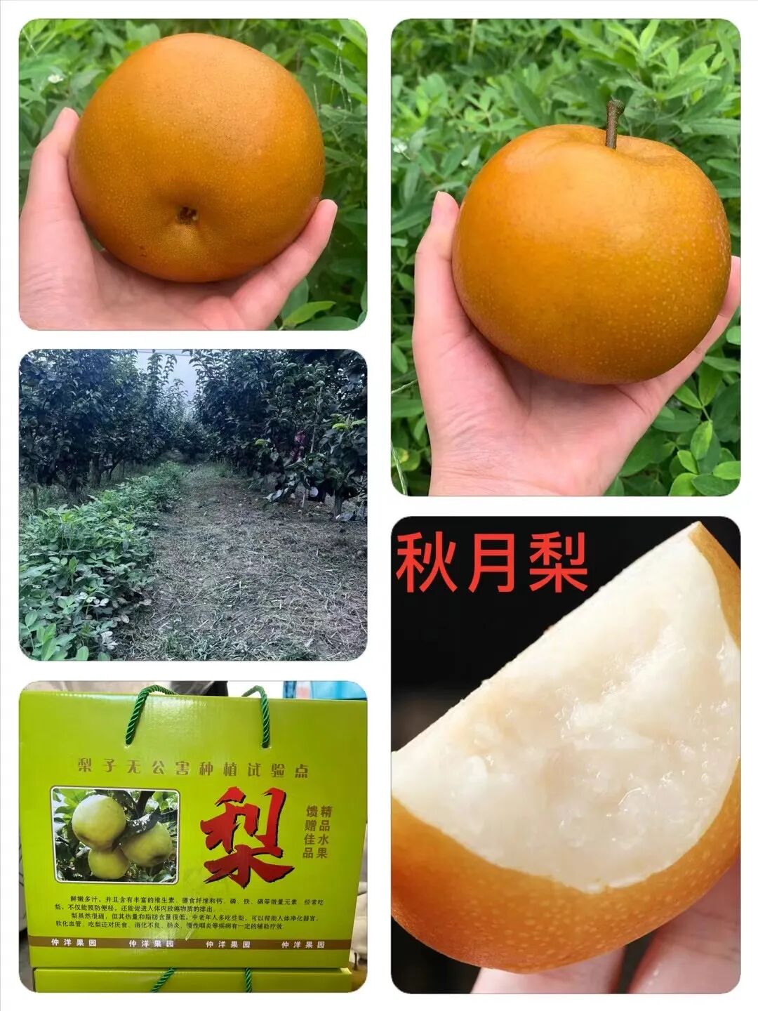 微信图片_20250904140514_1382_34.jpg