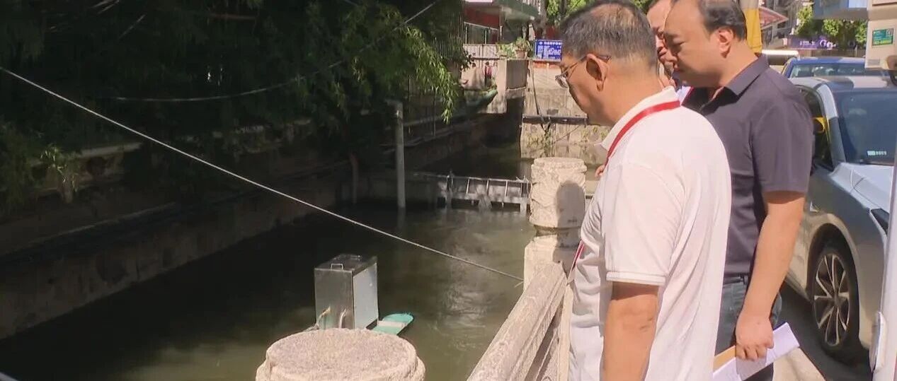 【微靖江】渔婆农贸市场、人民公园北侧河…靖江人大代表视察环保整改落实情况