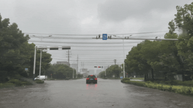IMG_0293.gif