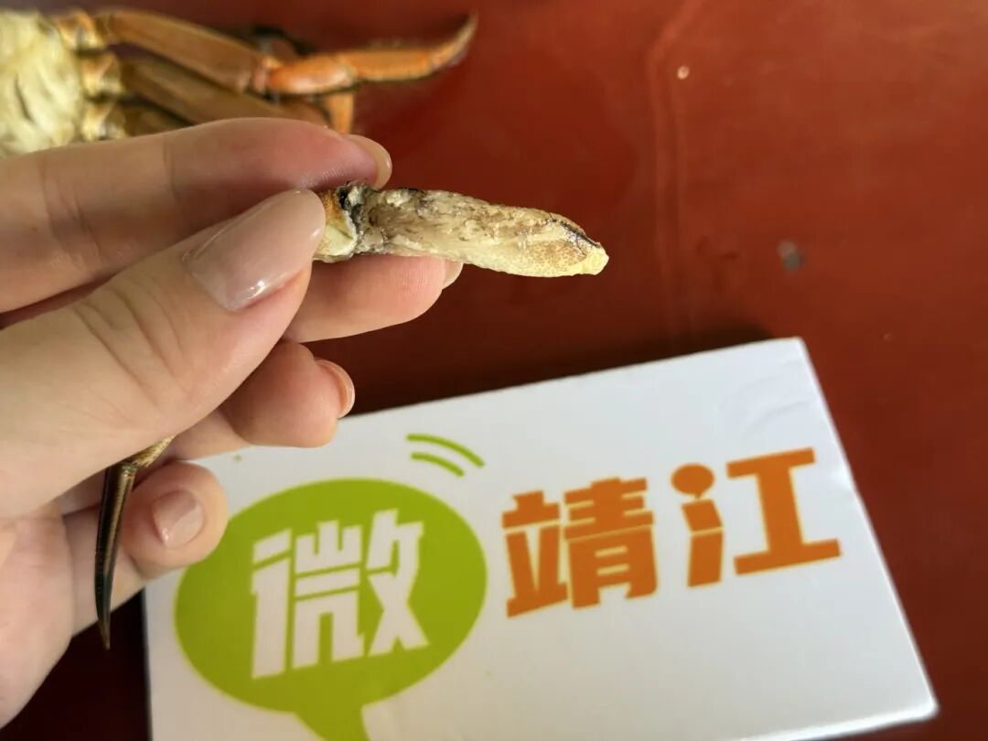 微信图片_20250826150024_1751_20.jpg