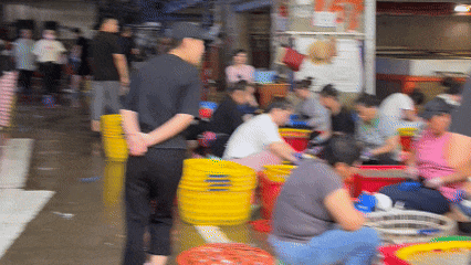 8月15日(1).gif