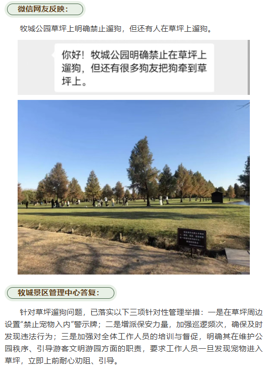 f99d0cc5e14c9214cab9642df777ebb5.png
