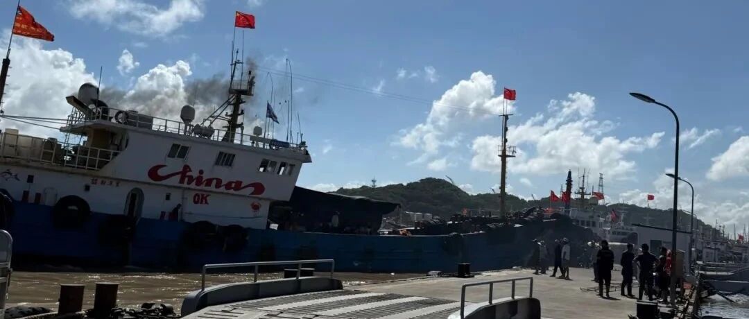 【微靖江】速抢!量大肉厚,原产地蟹味,我们包了!