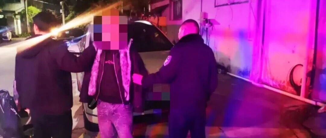 【微靖江】多次“拉车门”盗窃！靖江李某被抓获