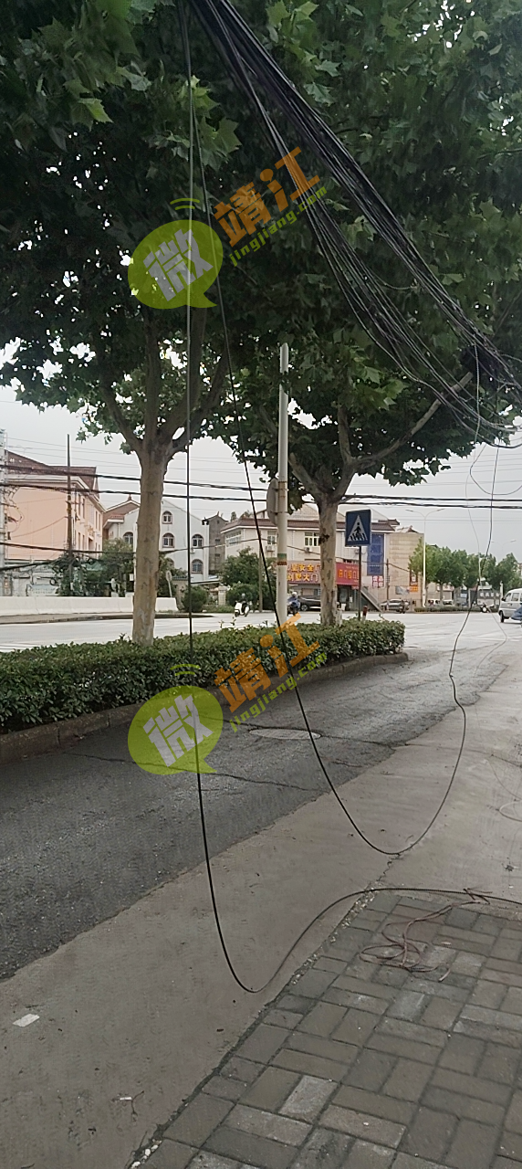 070106najar554wkz46mpa.png