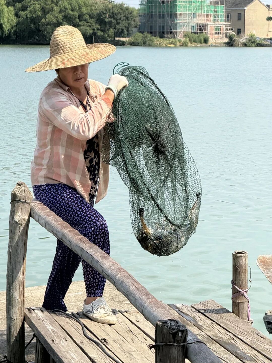 微信图片_20250826140348_1700_20.jpg