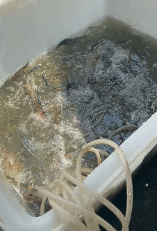 8月26日(2).gif