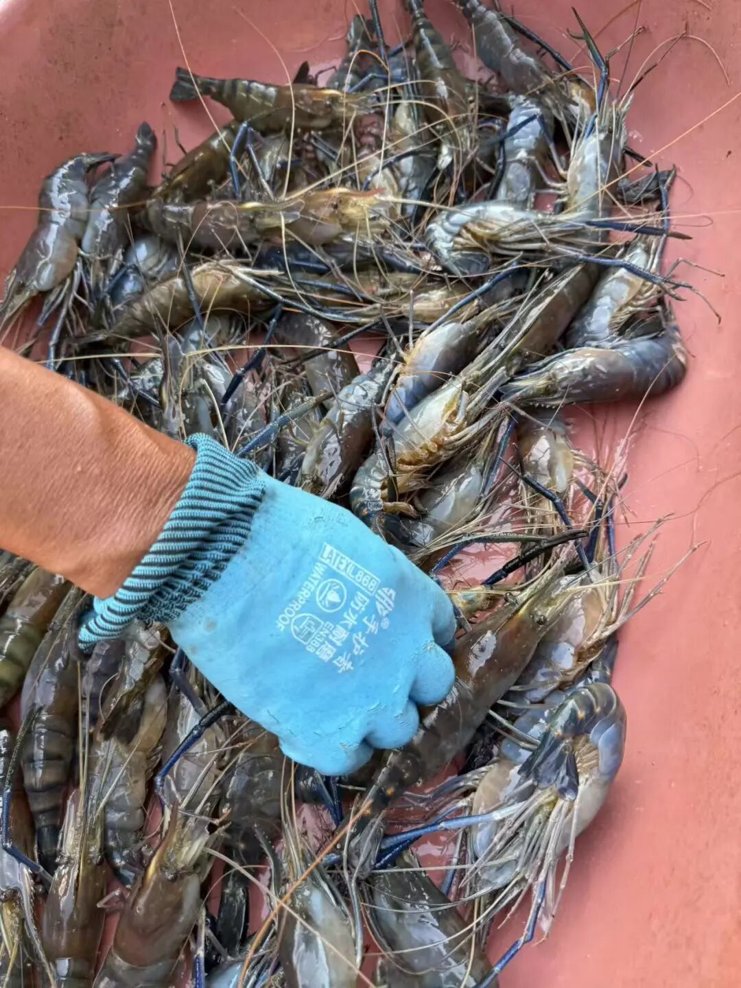 微信图片_20250826142913_1709_20.jpg