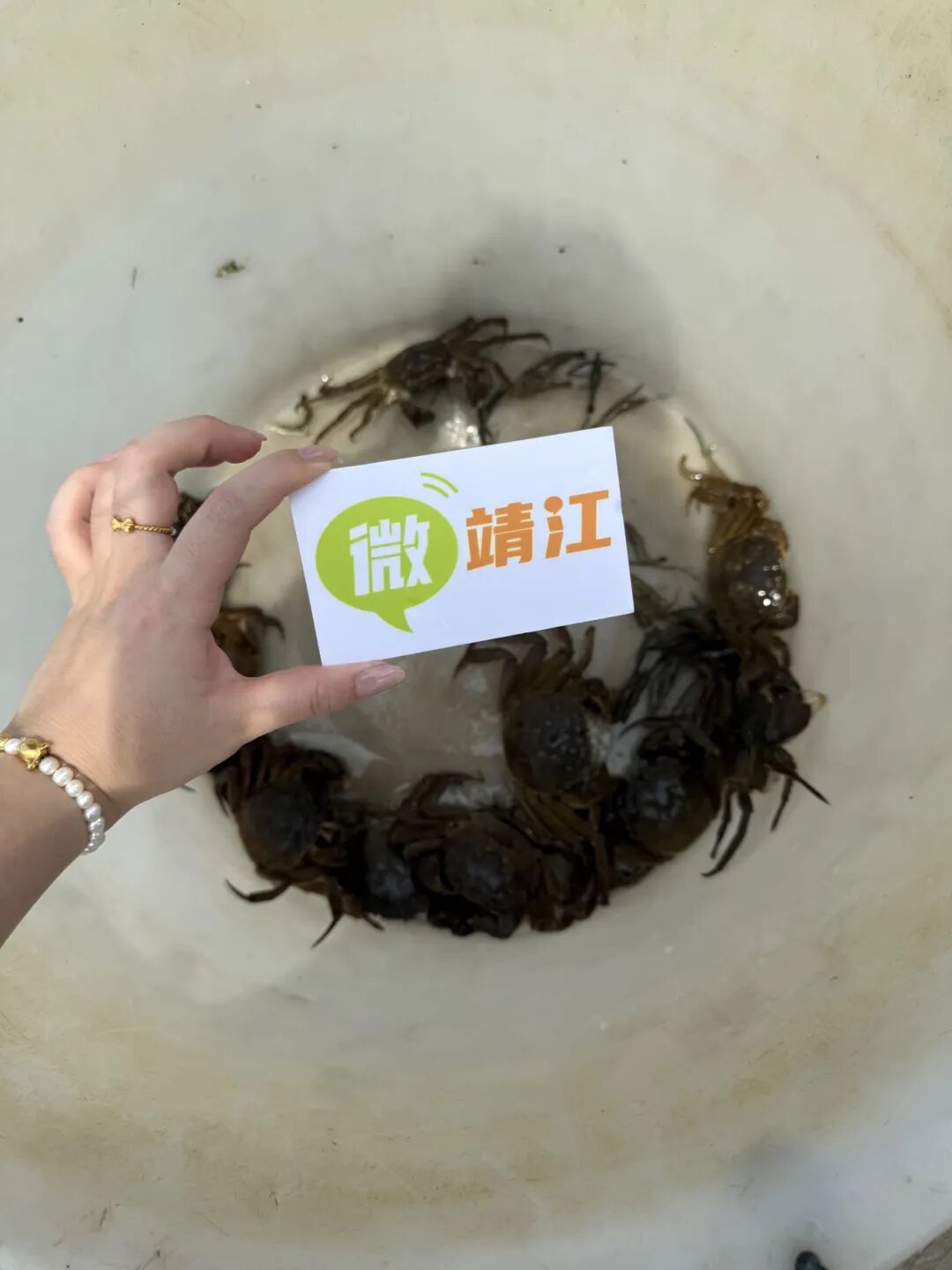 微信图片_20250826150123_1763_20.jpg